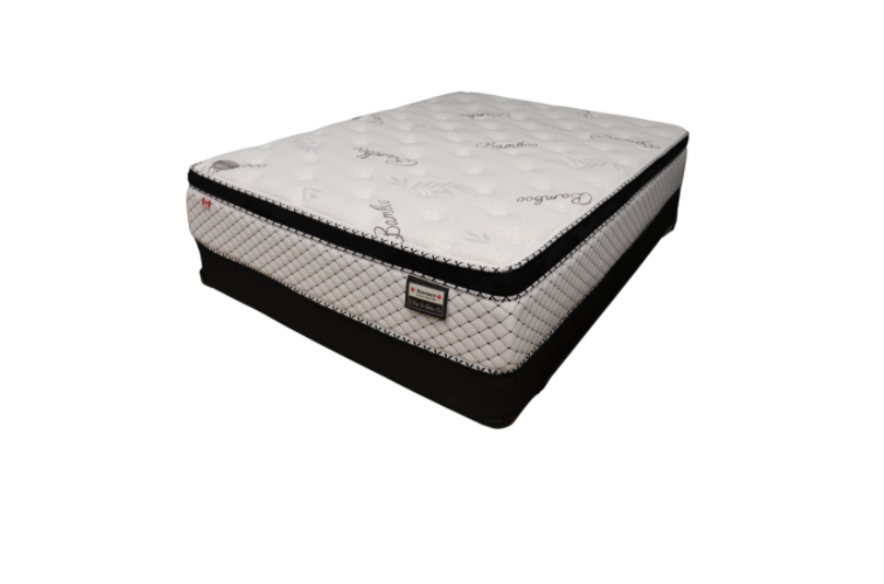 Rosemary Mattress-Sleep In Mattress-Queensway Mattress